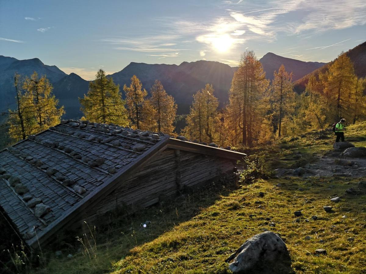 Ferienwohnung Schiestl Целль-ам-Ціллер Екстер'єр фото